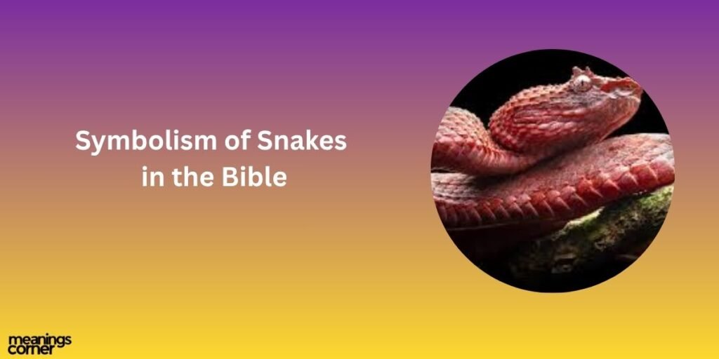 Symbolism of Snakes in the Bible