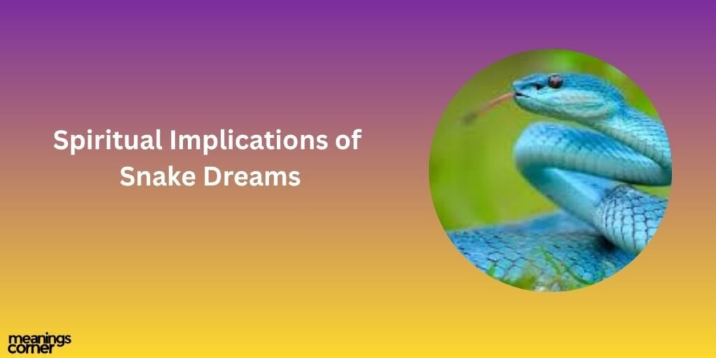 Spiritual Implications of Snake Dreams