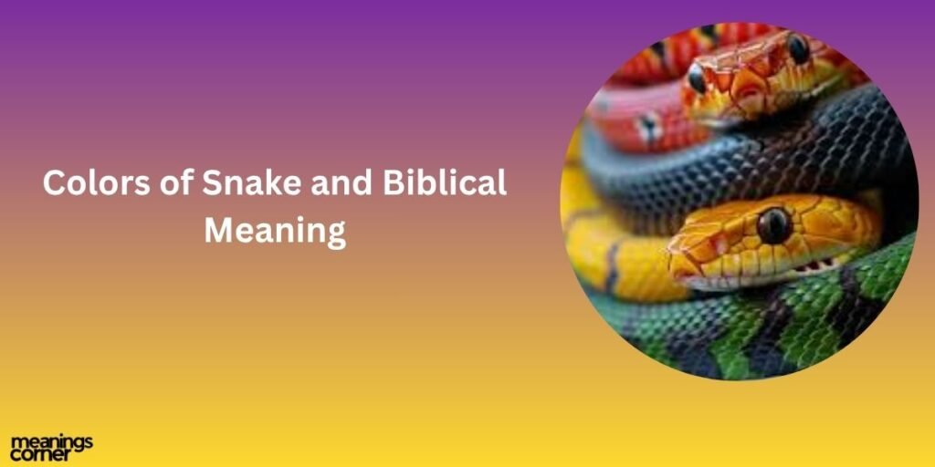 Colors of Snake and Biblical Meaning
