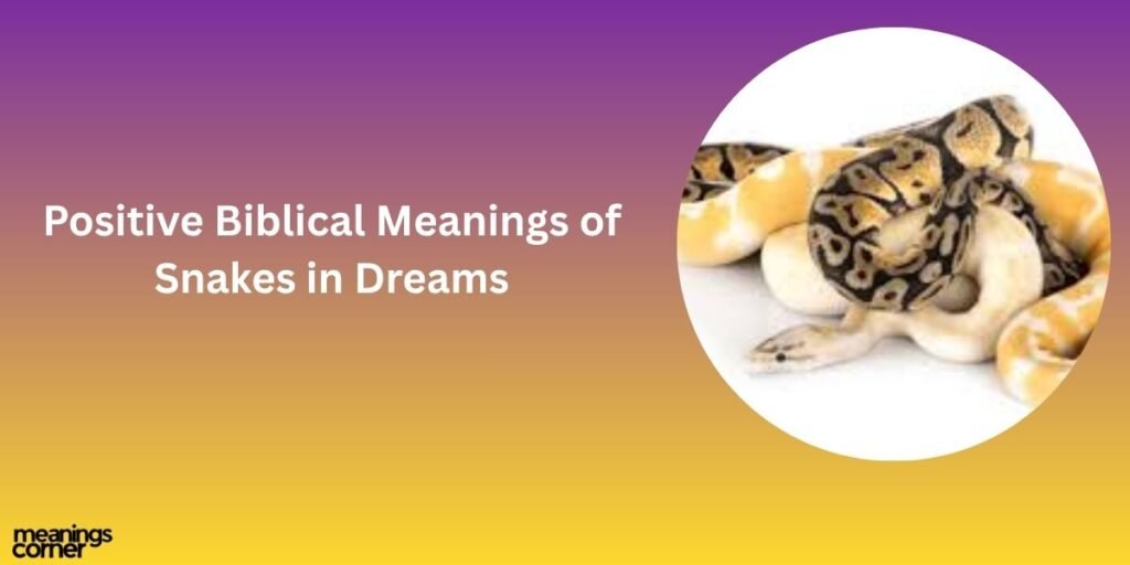 Positive Biblical Meanings of Snakes in Dreams