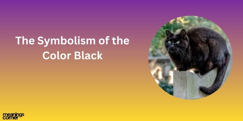 The Symbolism of the Color Black