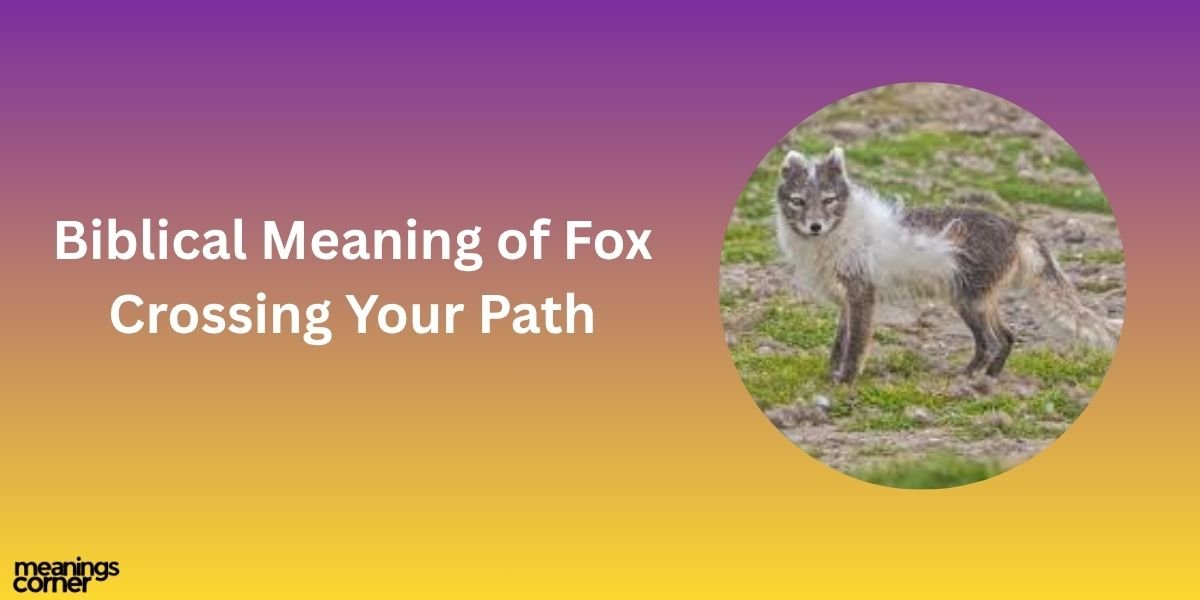 Biblical Meaning of Fox Crossing Your Path