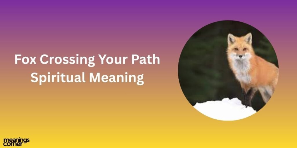 Fox Crossing Your Path Spiritual Meaning