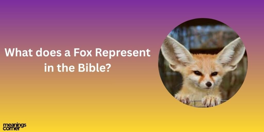 What does a Fox Represent in the Bible?