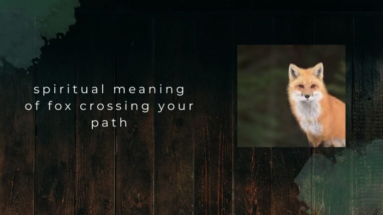 Fox Crossing Your Path