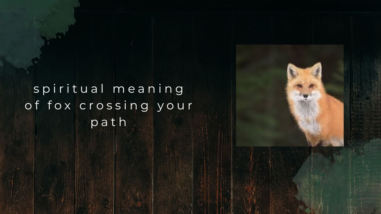Fox Crossing Your Path