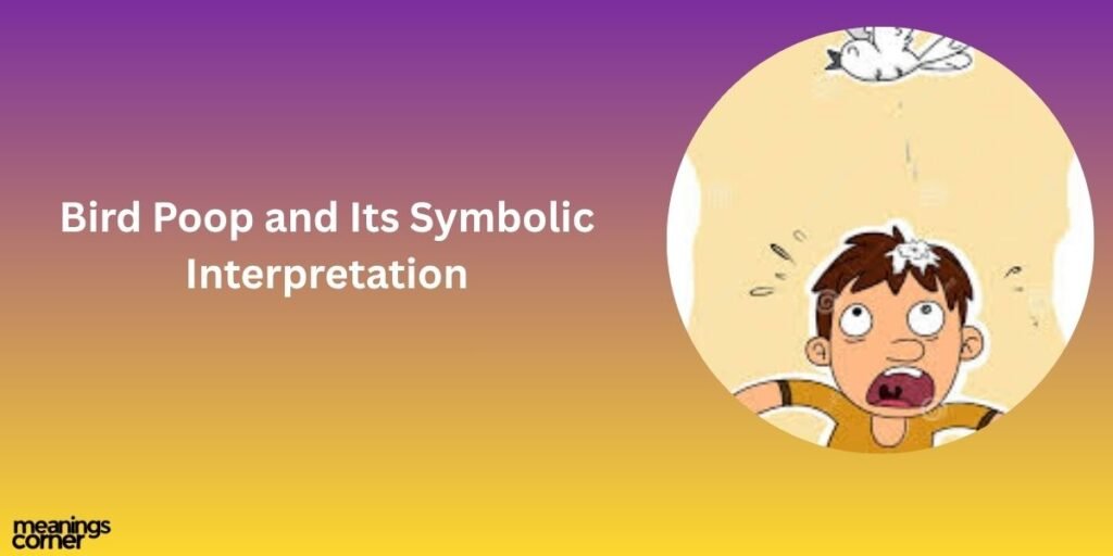 Bird Poop and Its Symbolic Interpretation