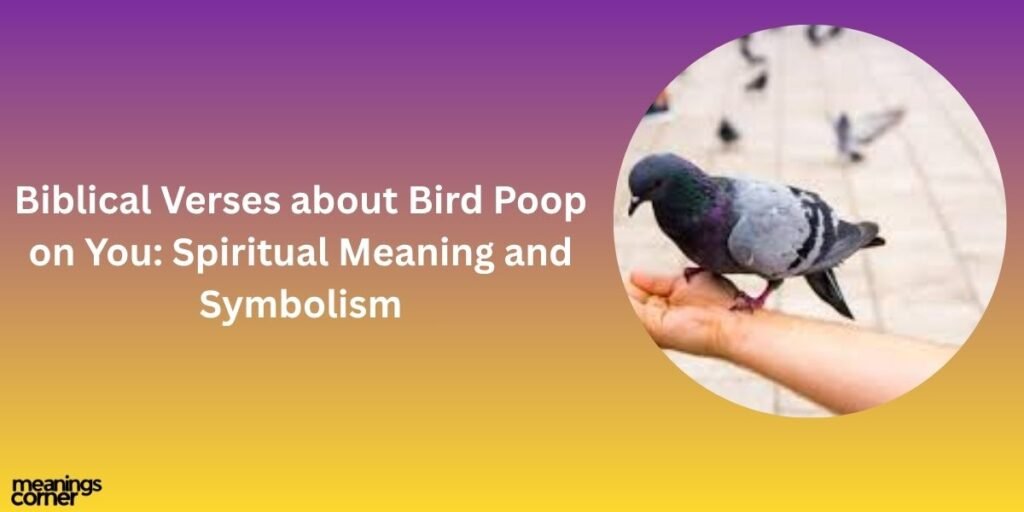 Biblical Verses about Bird Poop on You: Spiritual Meaning and Symbolism
