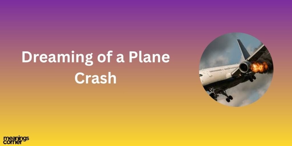 Dreaming of a Plane Crash