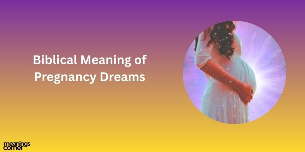 Biblical Meaning of Pregnancy Dreams