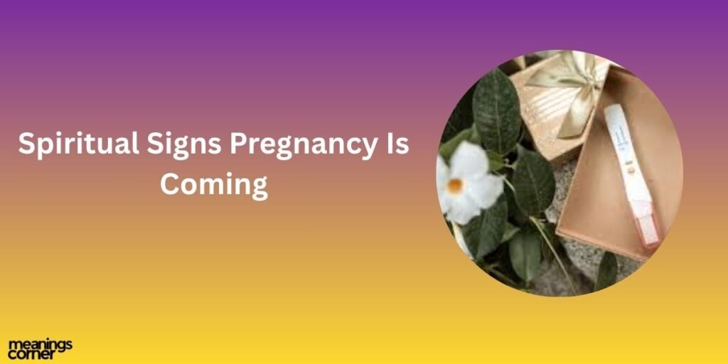 Spiritual Signs Pregnancy Is Coming