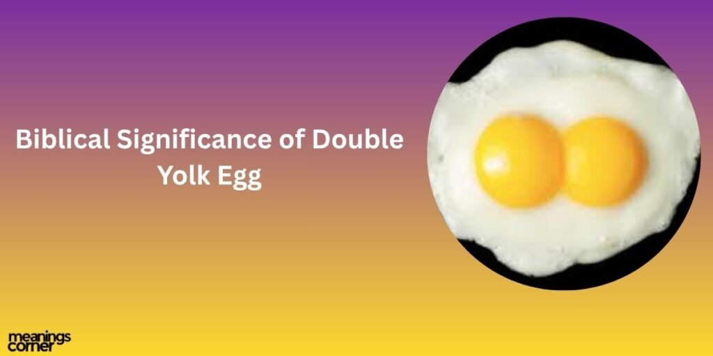 Biblical Significance of Double Yolk Egg