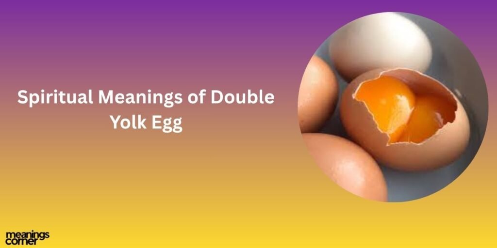 Spiritual Meanings of Double Yolk Egg