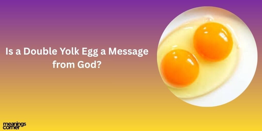 Is a Double Yolk Egg a Message from God?