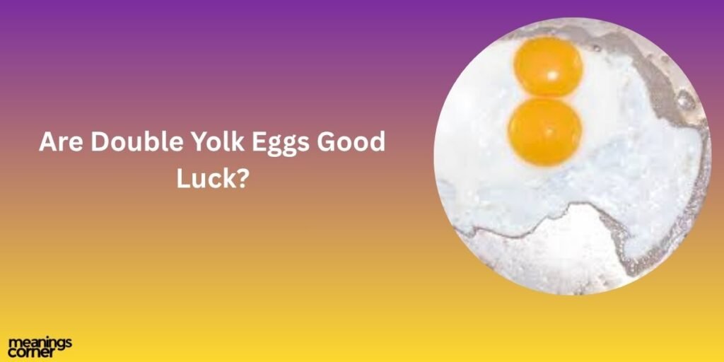 Are Double Yolk Eggs Good Luck?