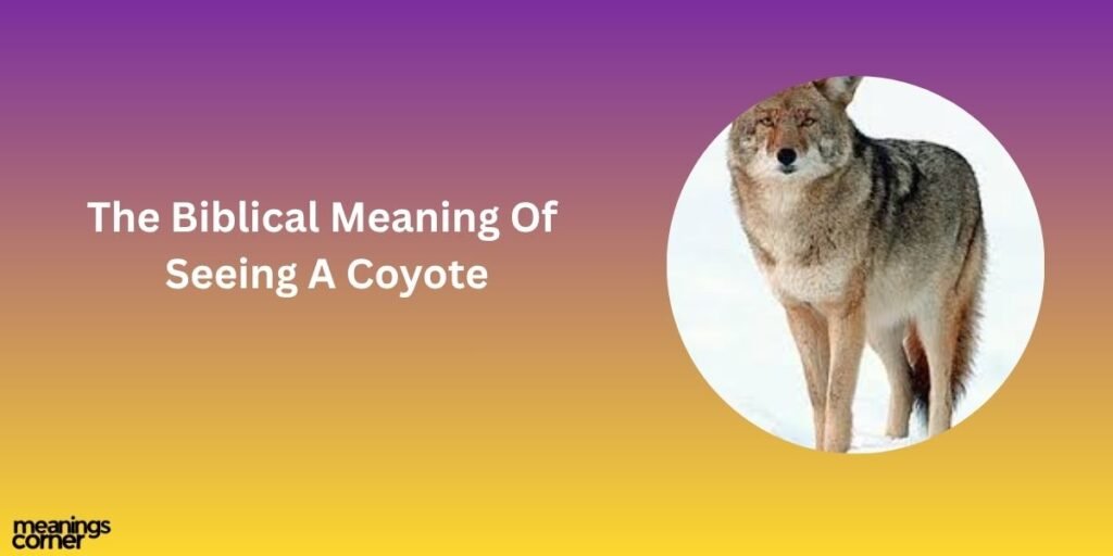 Biblical Meaning of Seeing a Coyote