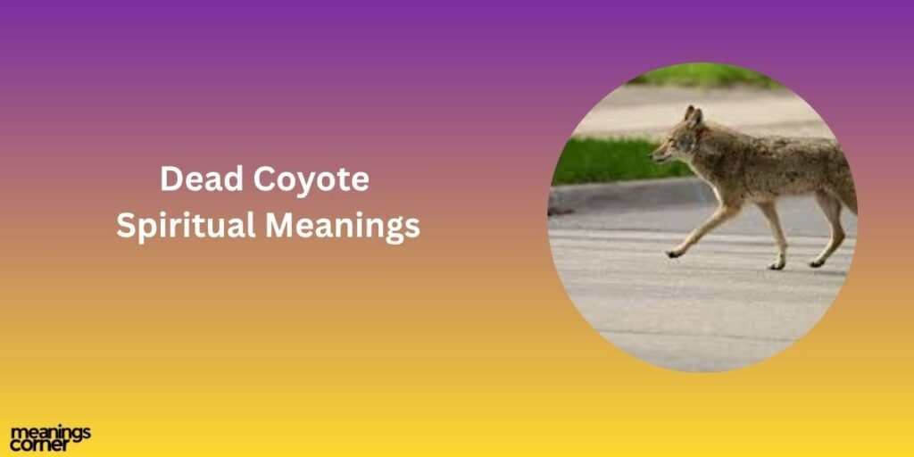 Dead Coyote Spiritual Meanings