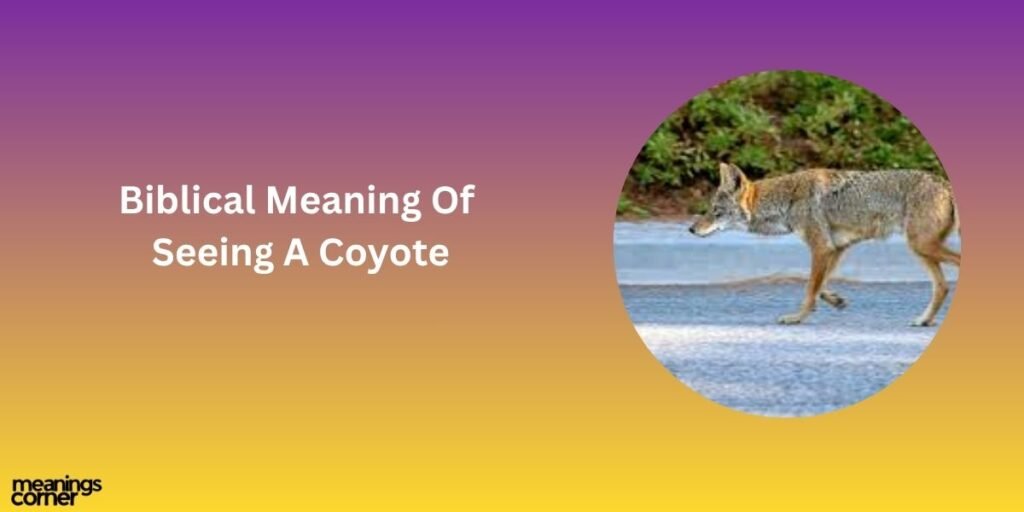 Biblical Meaning Of Seeing A Coyote
