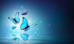 blue butterfly