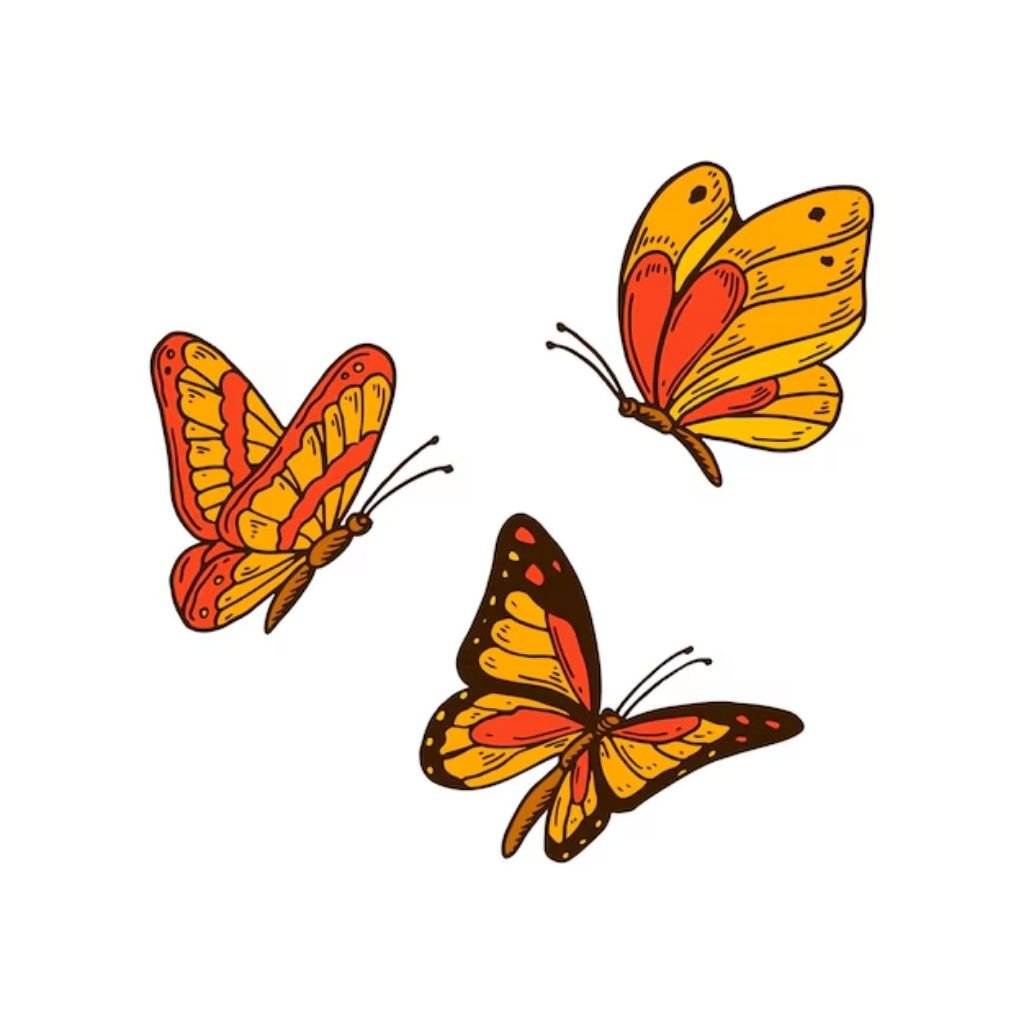 orange Butterfly