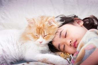 Cat sleeping above your head
