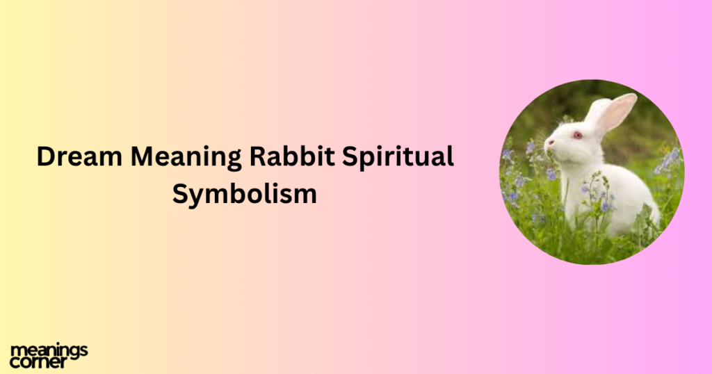 Rabbit Dream Meaning