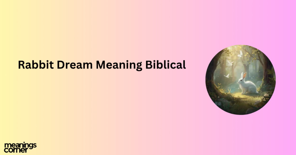 Rabbit Dream Meaning: