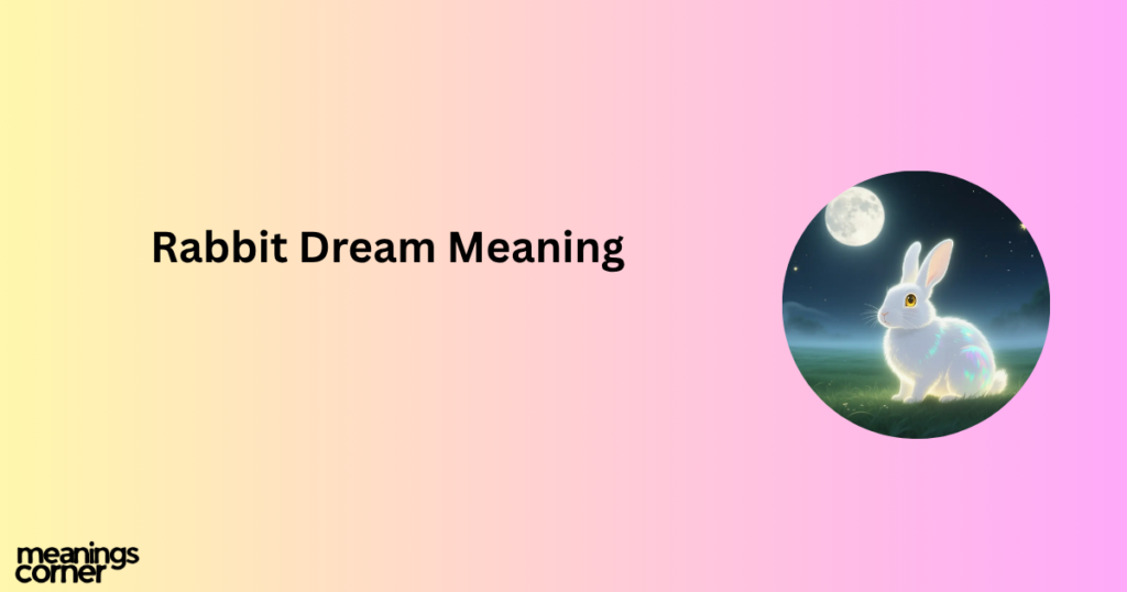Rabbit Dream Meaning