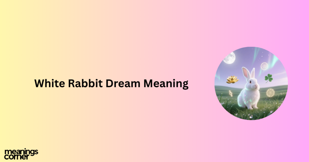 Rabbit Dream Meaning