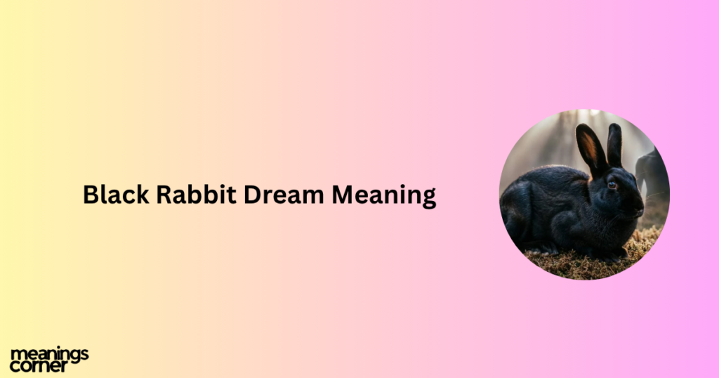 Rabbit Dream Meaning