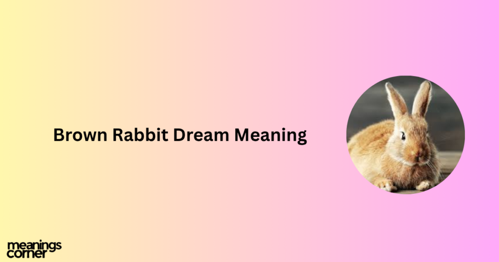 Rabbit Dream Meaning