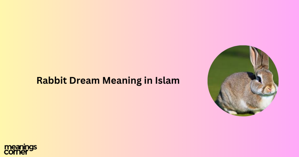 Rabbit Dream Meaning