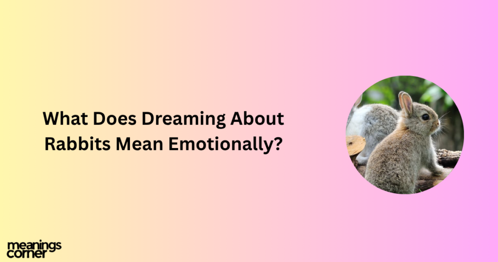 Rabbit Dream Meaning