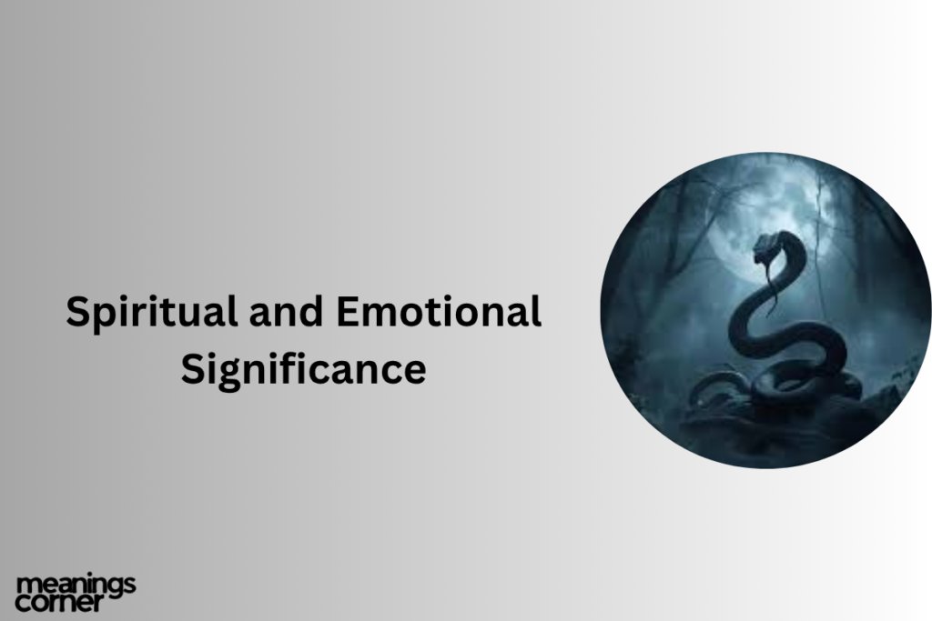 Black Snake Dream Meaning: Guilt, Fear or Warning?