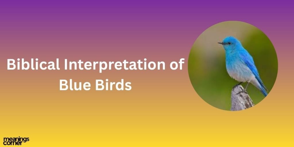 Biblical Interpretation of Blue Birds