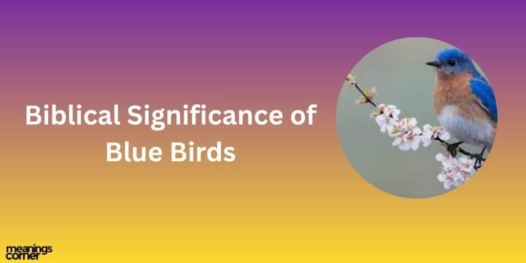 Biblical Significance of Blue Bird