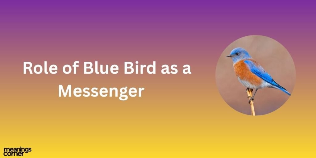 Role of Blue Bird as a Messenger 
