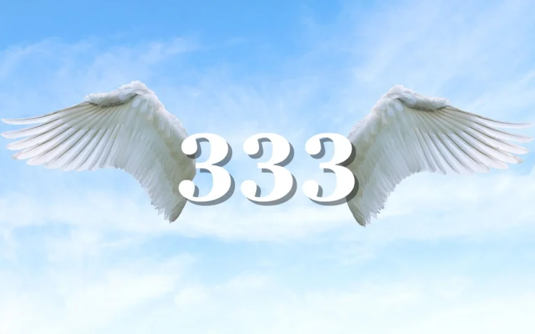 meaning of 333