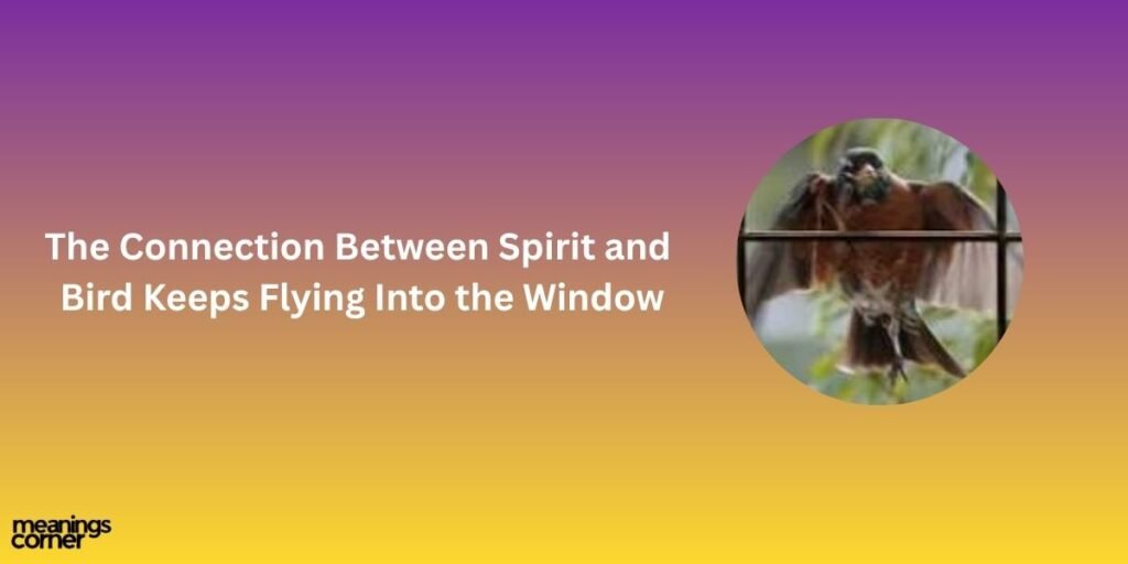 The Connection Between Spirit and Bird Keeps Flying Into the Window