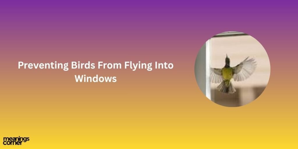 Preventing Birds From Flying Into Windows
