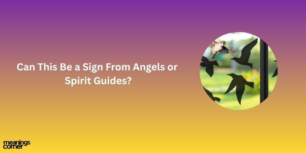 Can This Be a Sign From Angels or Spirit Guides?