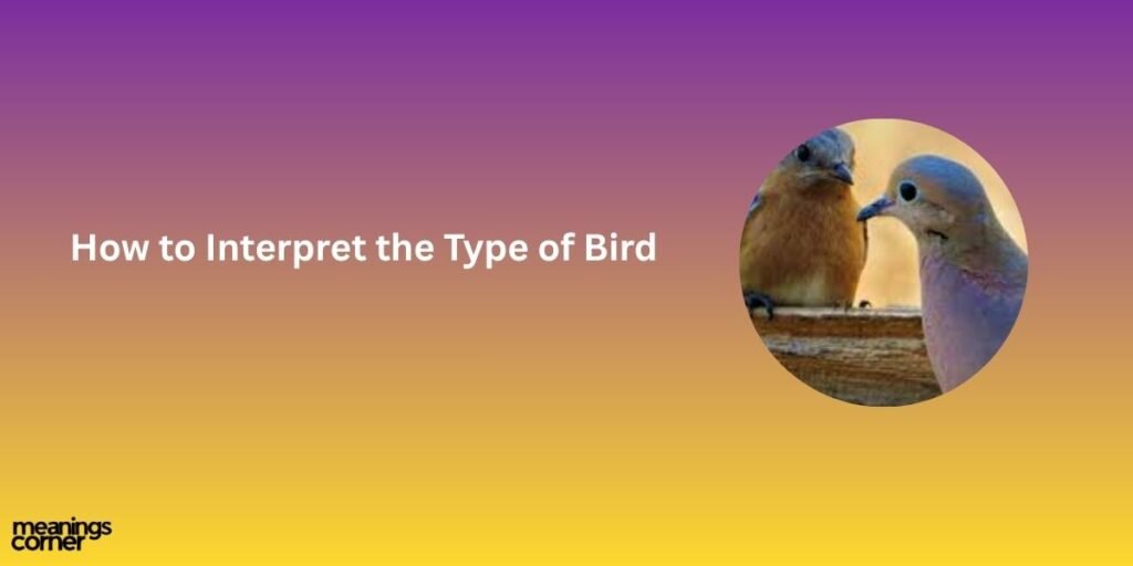 How to Interpret the Type of Bird