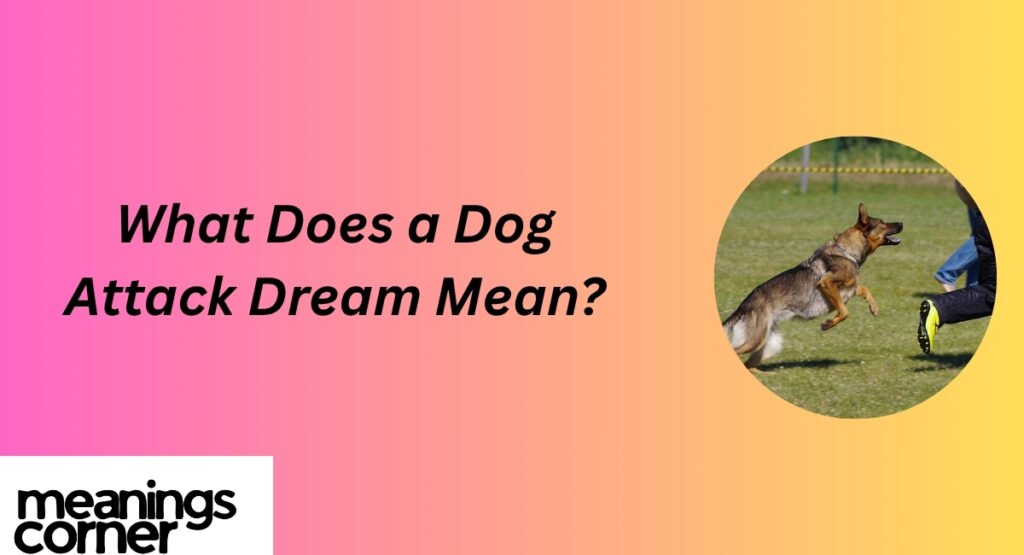 What Does a Dog Attack Dream Mean?