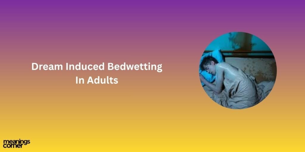 Dream Induced Bedwetting
In Adults 