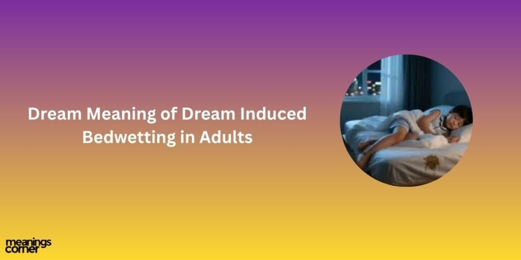 Dream Meaning of Dream Induced Bedwetting in Adults