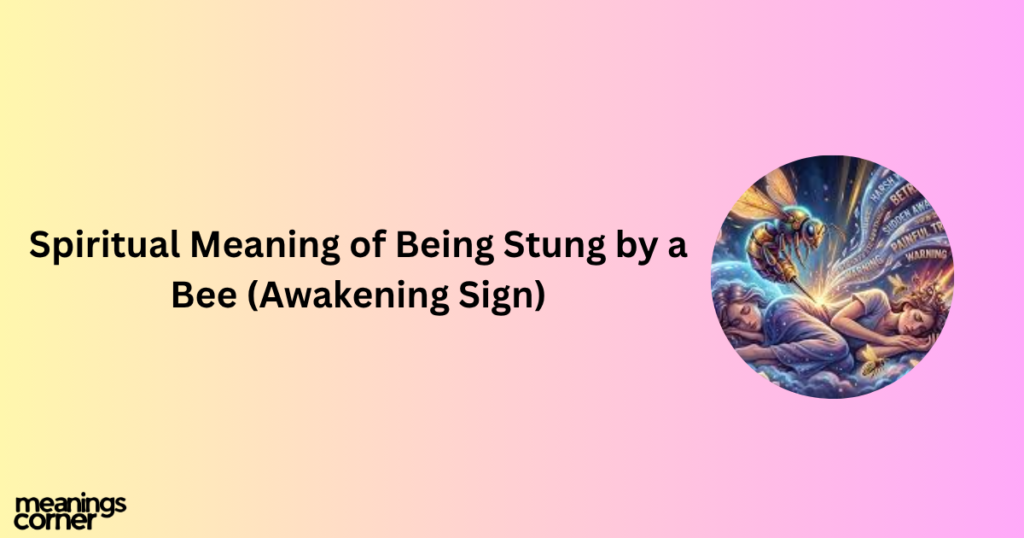 Spiritual Meaning of Being Stung by a Bee (Awakening Sign)
