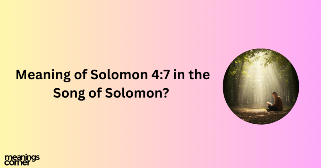 Meaning of Solomon 4:7 in the Song of Solomon?