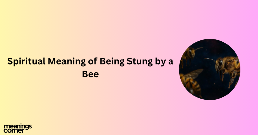Spiritual Meaning of Being Stung by a Bee