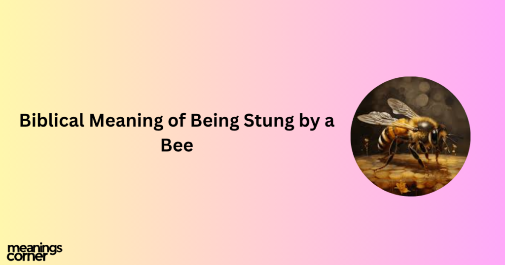 Biblical Meaning of Being Stung by a Bee