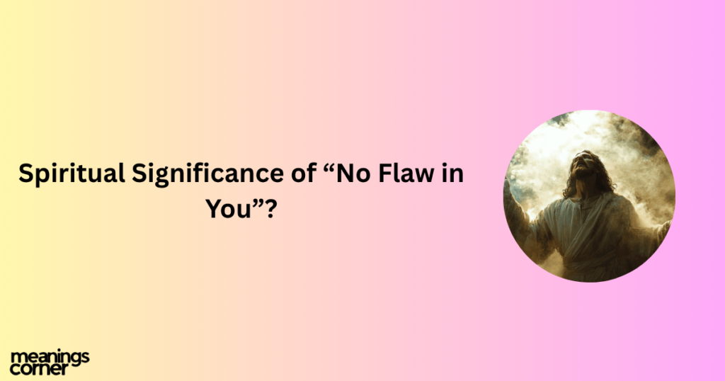 Spiritual Significance of “No Flaw in You”